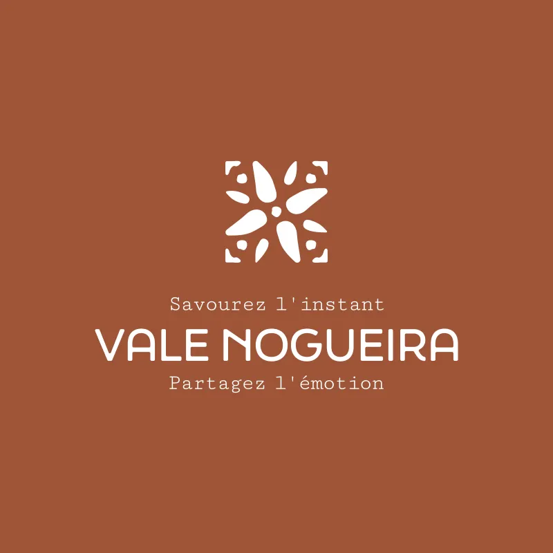 logo vale nogueira