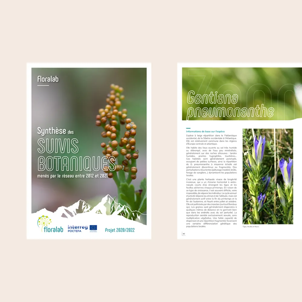 synthese scientifique debut floralab