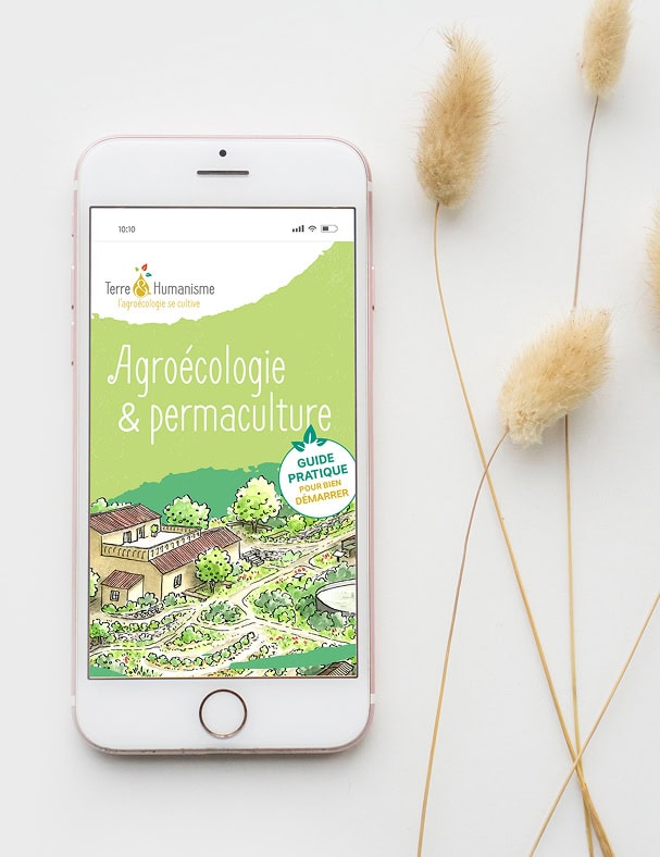 Livre numérique sur l'agroécologie et la permaculture par Johana Larrousse.